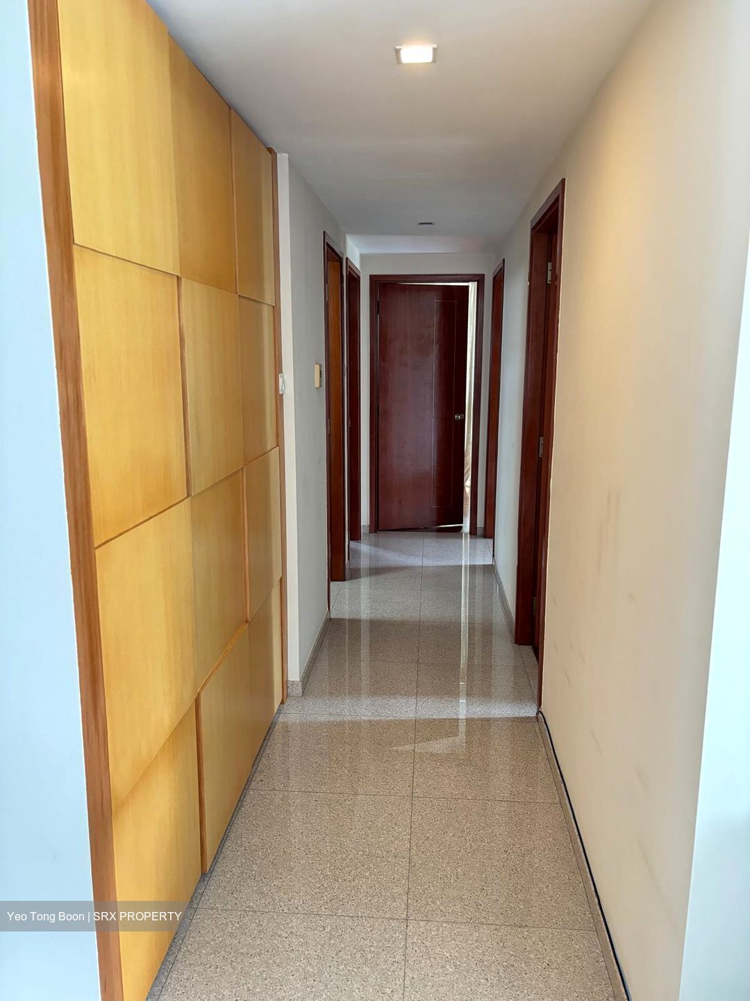 Park Green (D19), Condominium #627477011